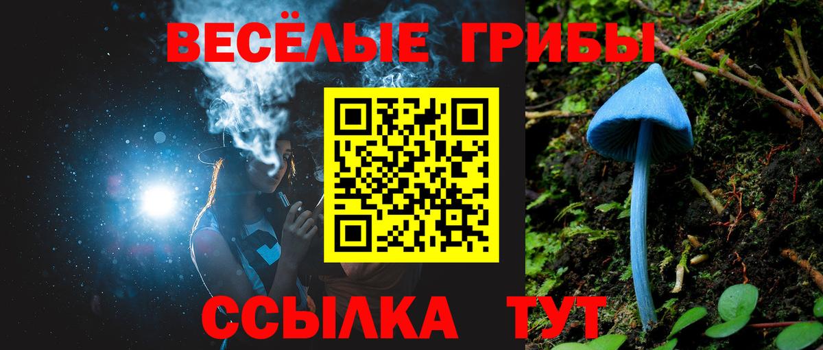 Галлюциногенные грибы GOLDEN TEACHER  купить наркоту  Галлюциногенные грибы Psilocybine cubensis  Арзамас  Вход с VPN 